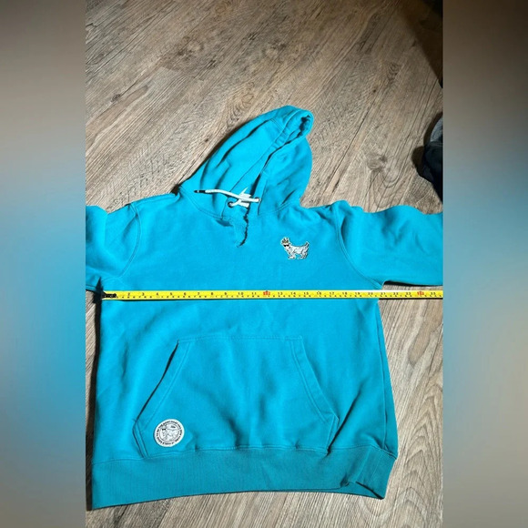 Goat USA Pullover Turquoise Hoodie Size: Small - Picture 1 of 11